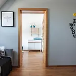 Rent Like - Malaszynskiego *