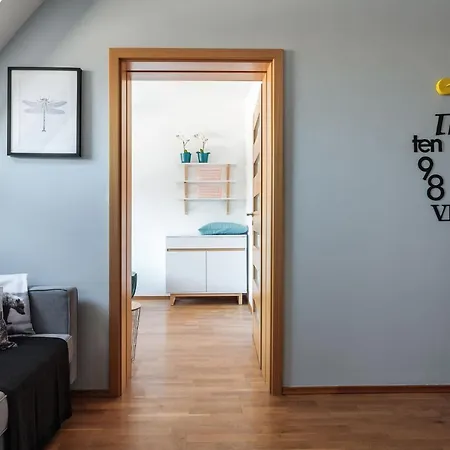 Rent Like - Malaszynskiego *